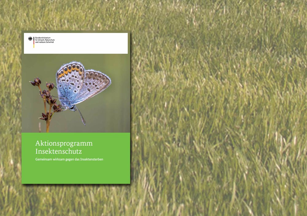 Titelcover "Aktionsprogramm Insektenschutz"