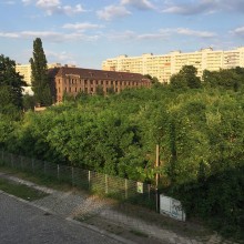 Brachfläche in Dresden