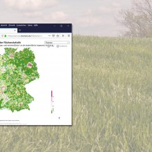 Online-Flächenatlas des Statistischen Bundesamts