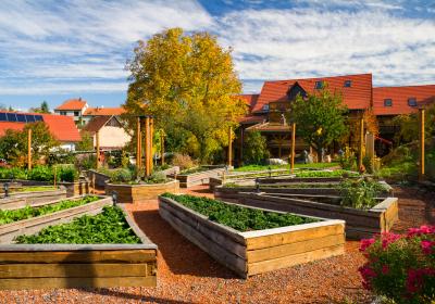 Beete im Ortszentrum