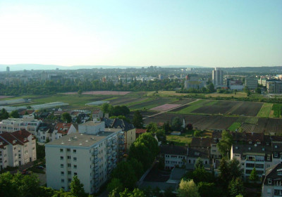 Wohnungsbau und Ackerflächen